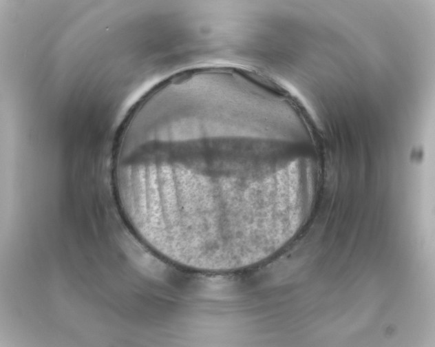 X0000090491460200708102208