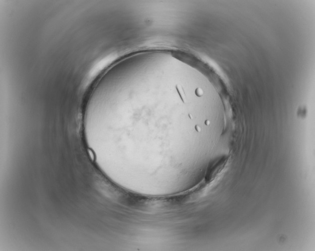 X0000090491461200708102208