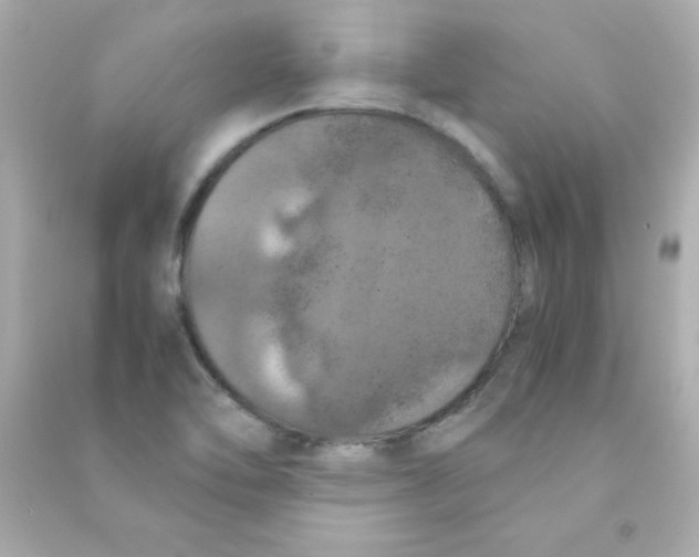 X0000090491462200708102208