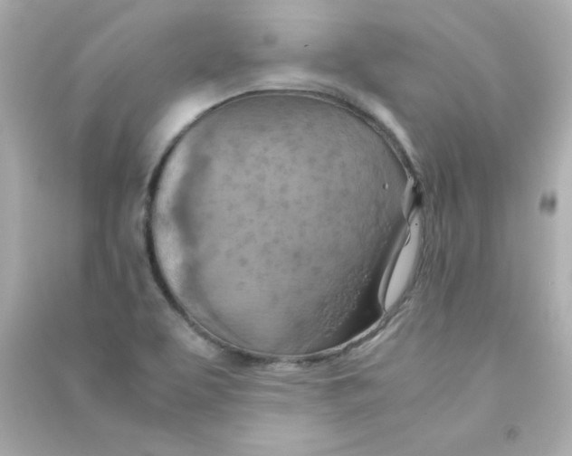 X0000090491463200708102208