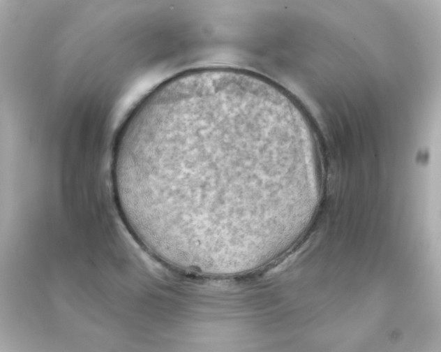 X0000090491464200708102208