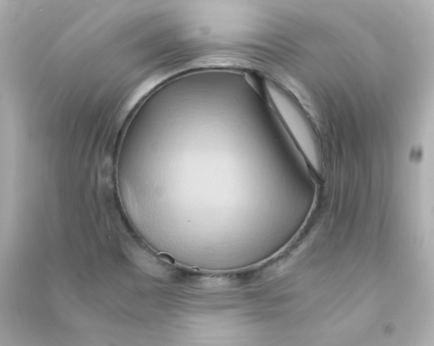 X0000090491465200708102208