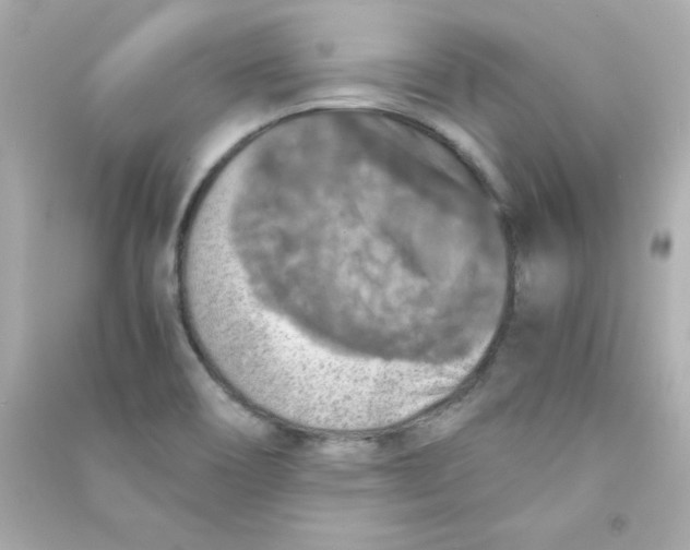 X0000090491466200708102208