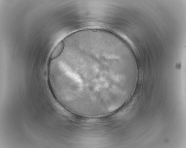 X0000090491467200708102208