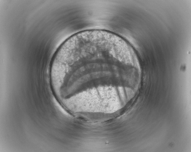 X0000090491468200708102208