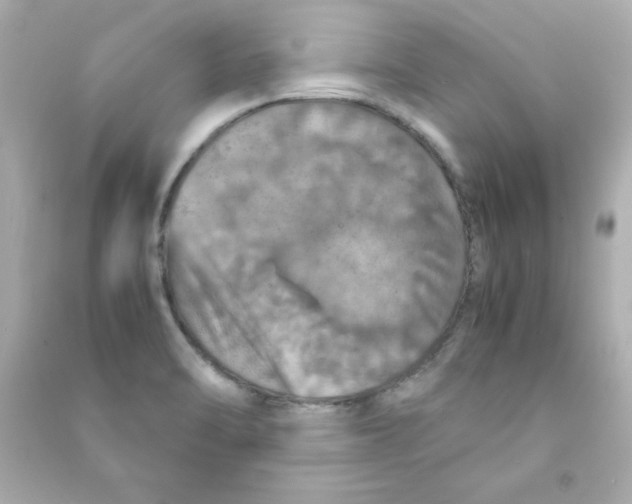 X0000090491470200708102208