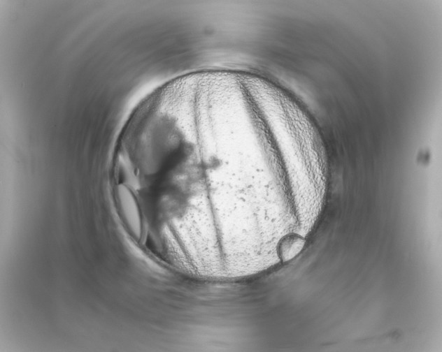 X0000090491471200708102208