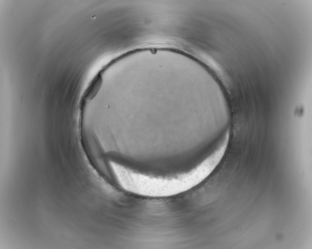 X0000090491472200708102208