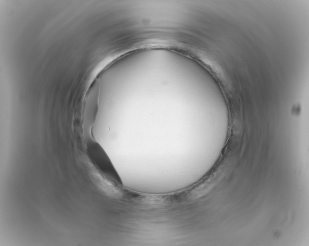 X0000090491473200708102208