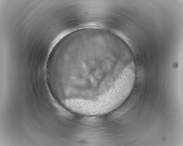 X0000090491474200708102208