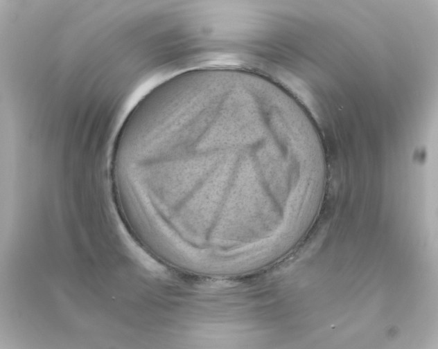 X0000090491475200708102208