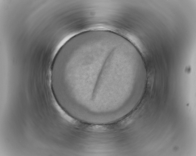 X0000090491476200708102208