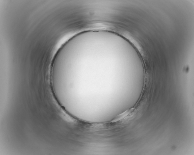 X0000090491477200708102208