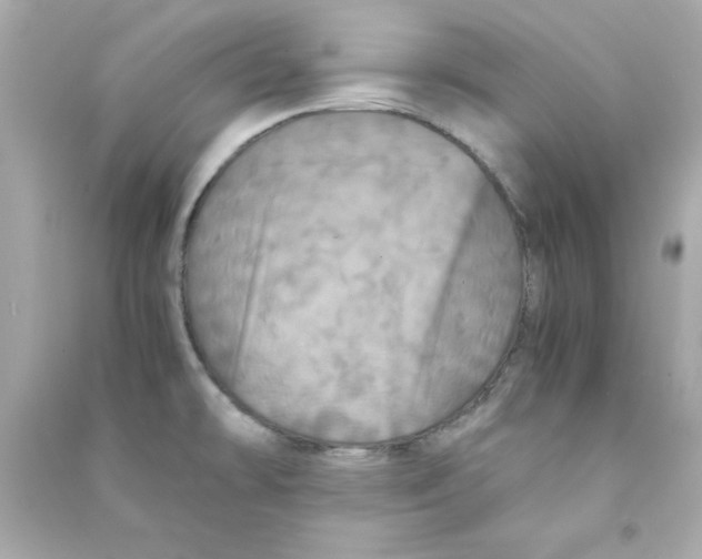 X0000090491478200708102208