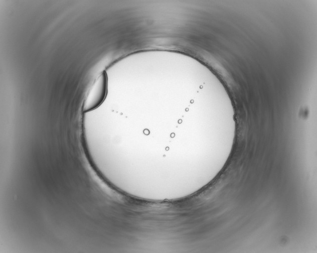 X0000090491479200708102208