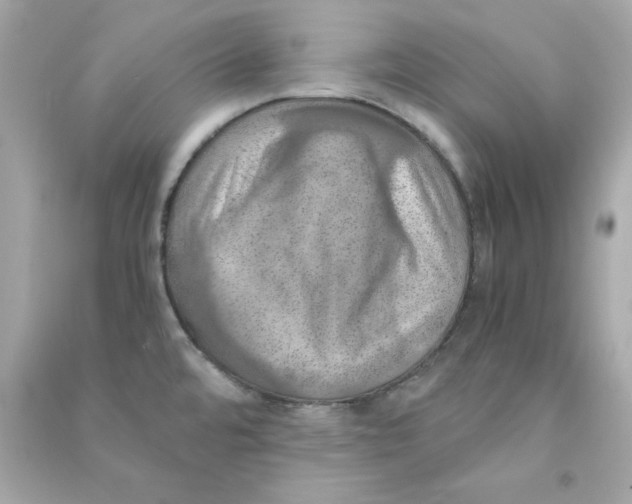 X0000090491480200708102208