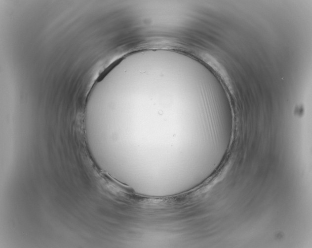 X0000090491481200708102208