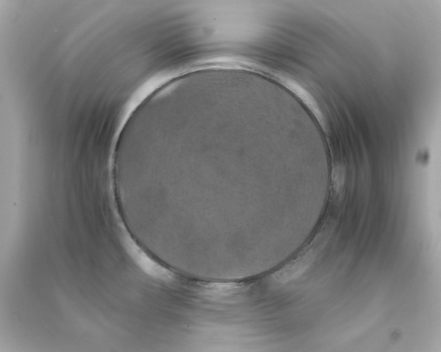 X0000090491482200708102208