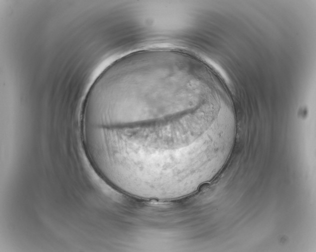 X0000090491483200708102208