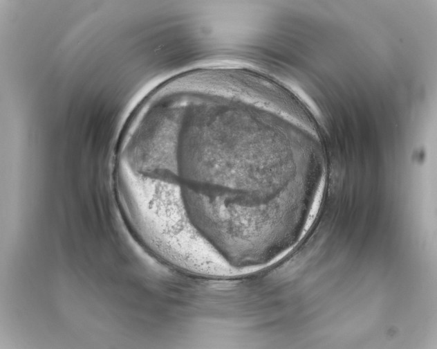 X0000090491484200708102208