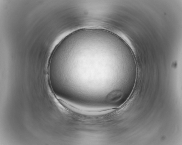 X0000090491485200708102208