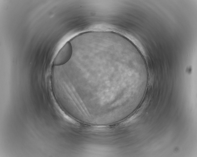 X0000090491486200708102208