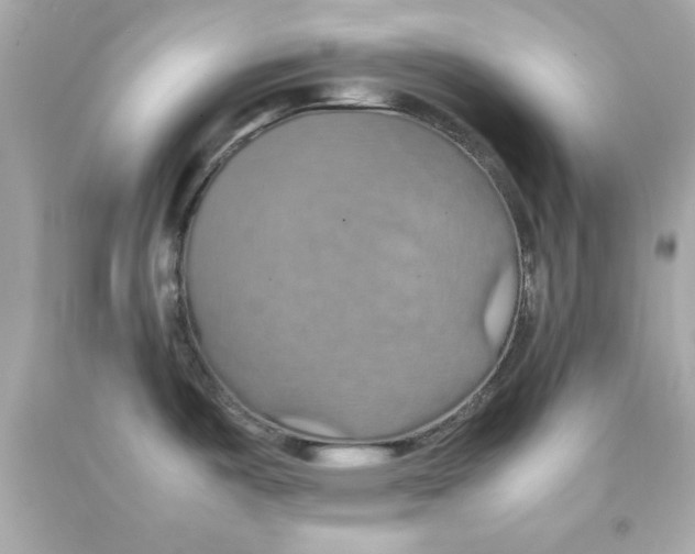 X0000090491487200708102208