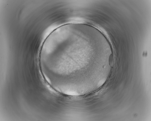 X0000090491488200708102208