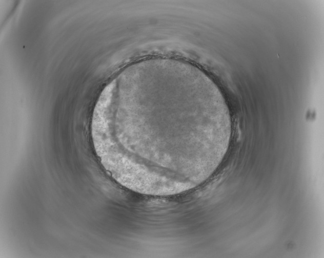 X0000090491489200708102207