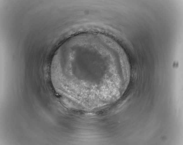 X0000090491490200708102207