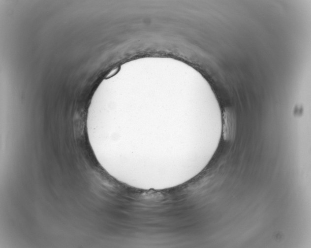 X0000090491491200708102207