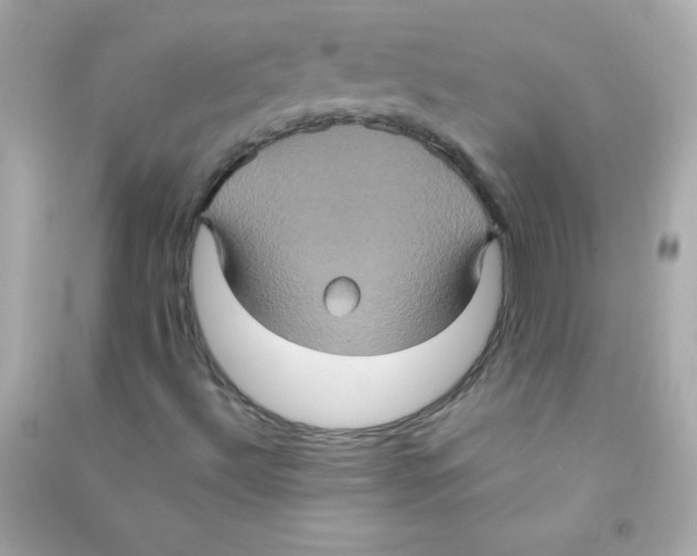 X0000090491492200708102207