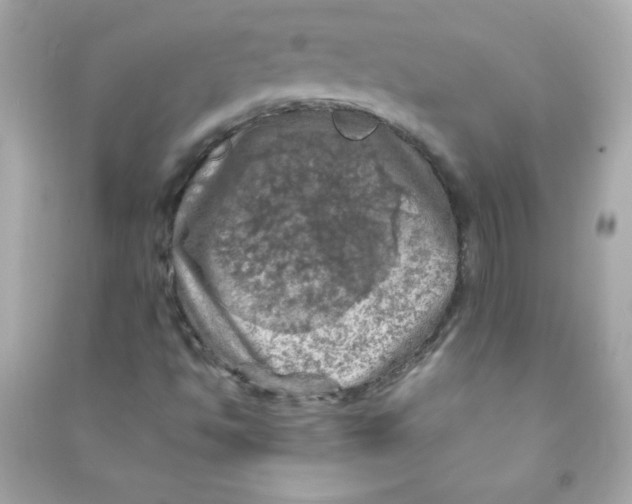 X0000090491494200708102207