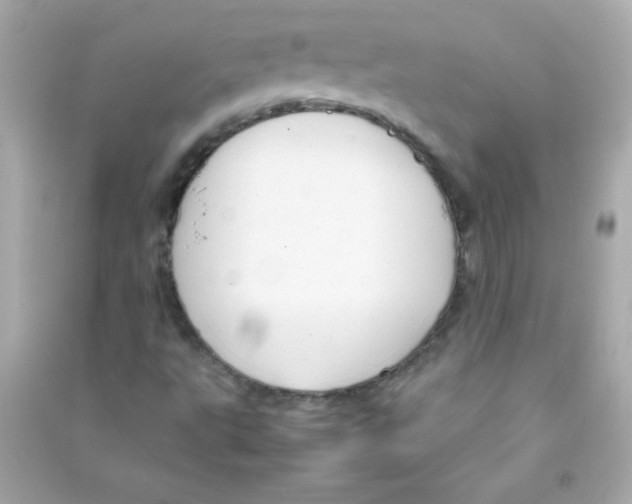 X0000090491495200708102207