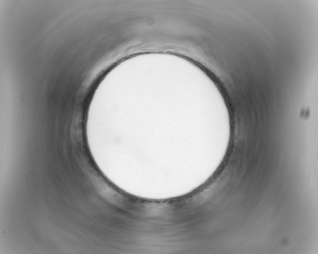 X0000090491498200708102207