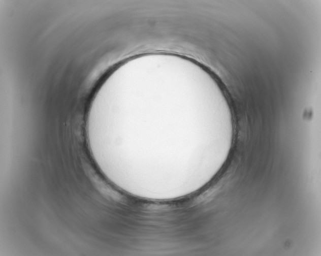 X0000090491499200708102207