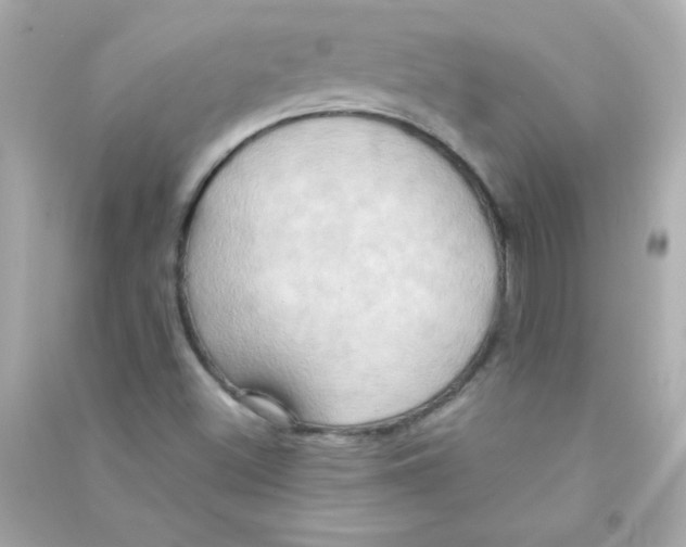 X0000090491500200708102207