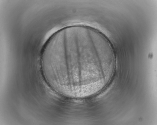 X0000090491501200708102207