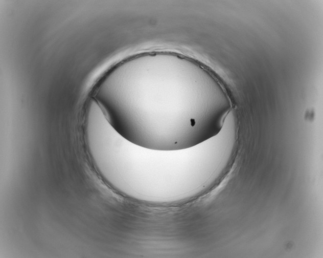 X0000090491502200708102207