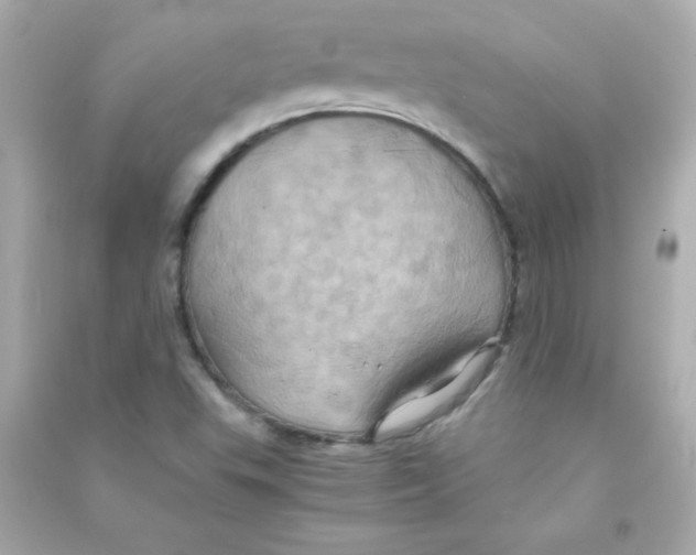 X0000090491503200708102207