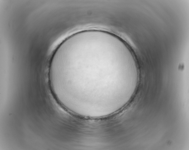 X0000090491504200708102207