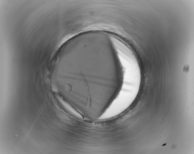 X0000090491505200708102207