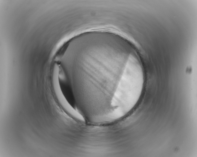 X0000090491506200708102207