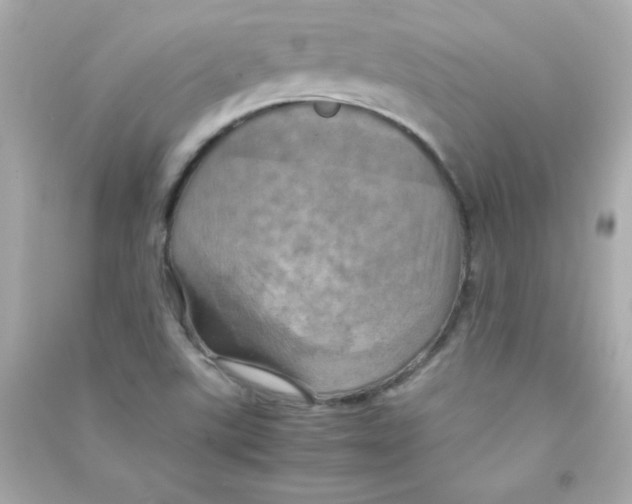 X0000090491507200708102207