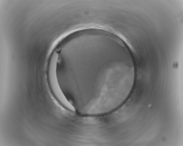 X0000090491508200708102207