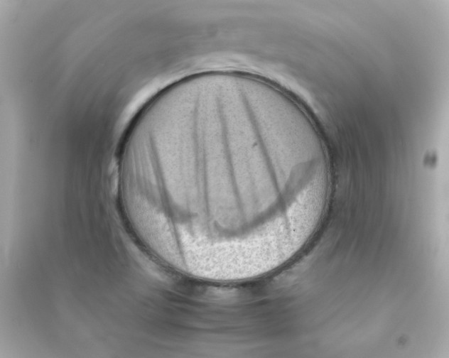 X0000090491509200708102207