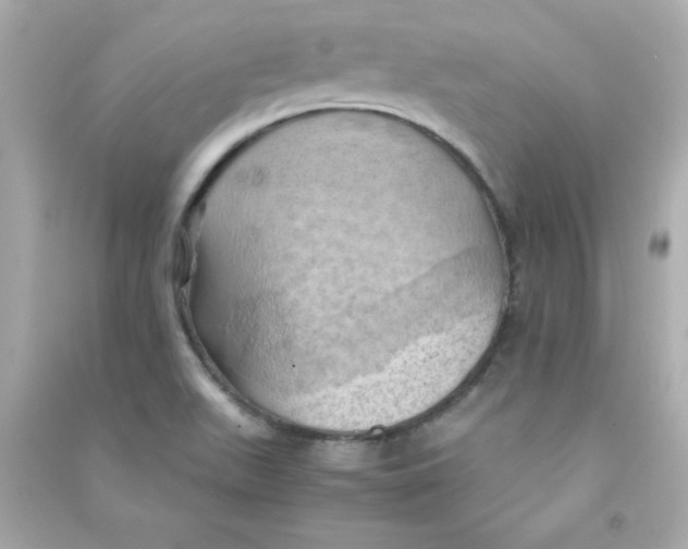 X0000090491511200708102207