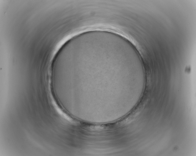 X0000090491515200708102207