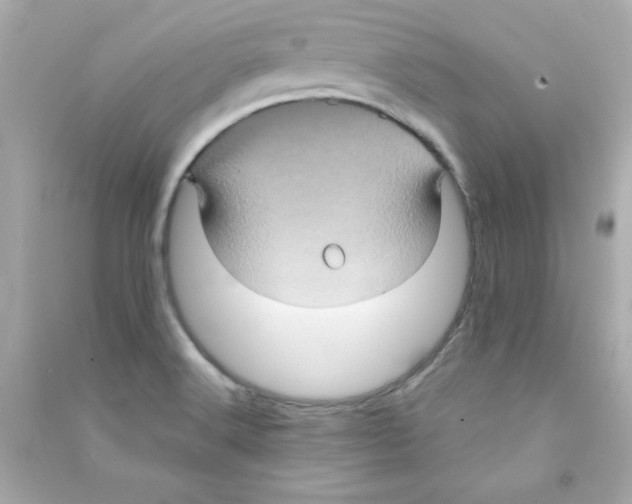 X0000090491516200708102207