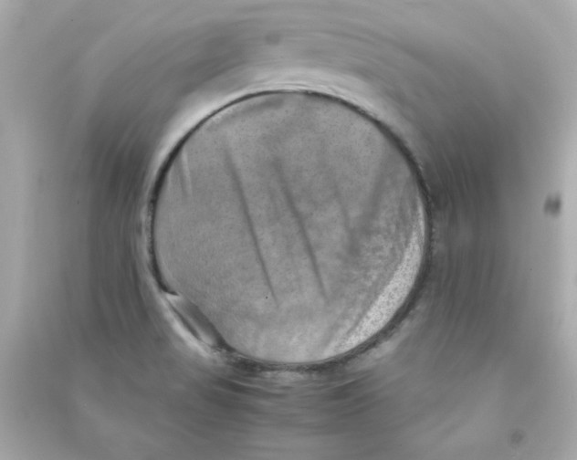 X0000090491517200708102207